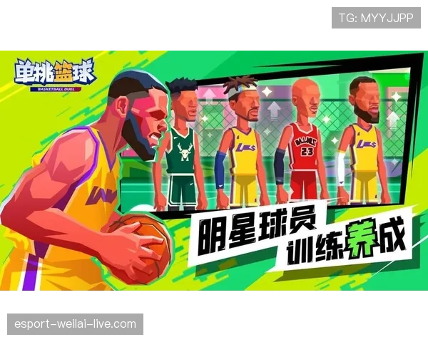 篮球挑战判罚规则的具体条款内容与适用场景进行全面解读