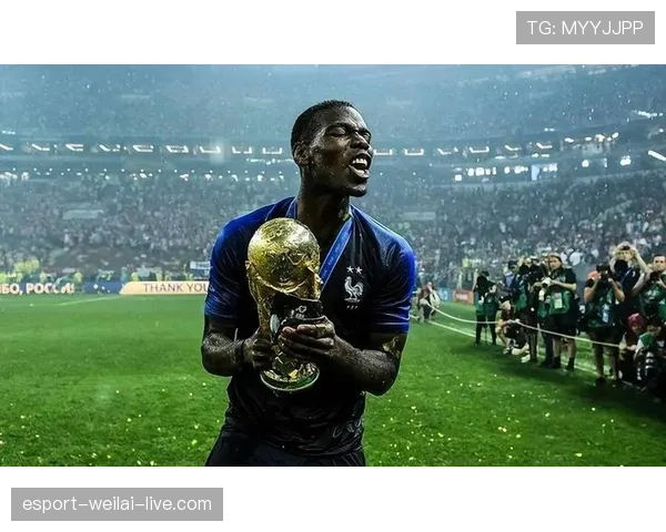 博格巴与若日尼奥中场传导频率分化背后的战术角色差异